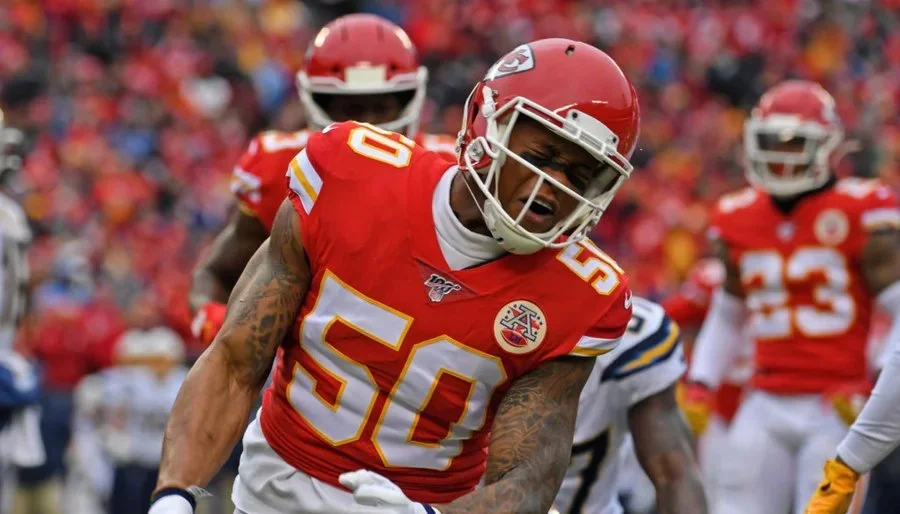 Concursos e cursos gratuitos oferecem caminho para crescimento na educação e carreira pública