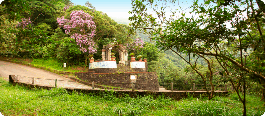 Parque Caminhos do Mar amplia visitas escolares focando em educação ambiental e história