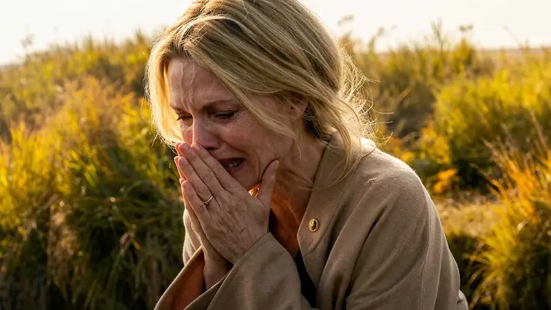 Nova série de Taylor Sheridan, The Madison, supera spin-off de Yellowstone no streaming