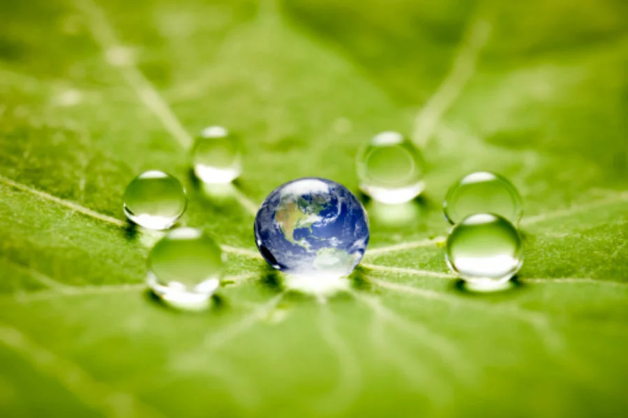 Instituto oferece 14 bolsas de mestrado profissional em conservação ambiental