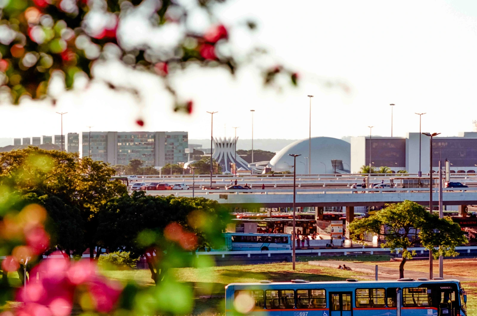 Secretaria de Desenvolvimento Social do DF confirma concurso com 1.197 vagas e salário de R$ 8.904