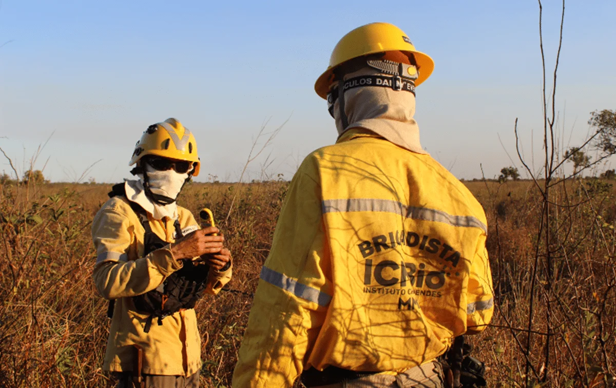 Último dia para se inscrever no processo seletivo do ICMBio para Brigadista no Piauí