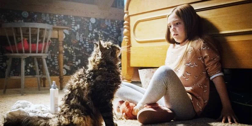 A icônica frase de “Cemitério Maldito” que consagrou Stephen King no horror