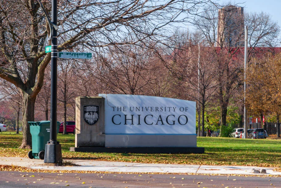 Natação e diplomas dominam lista de habilidades mais buscadas em Chicago para 2026