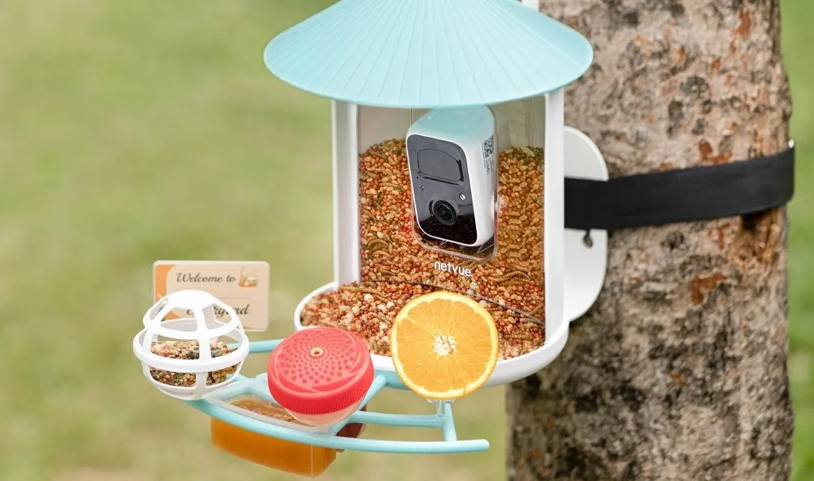 Alimentador inteligente Birdfy com desconto recorde para o Dia das Mães