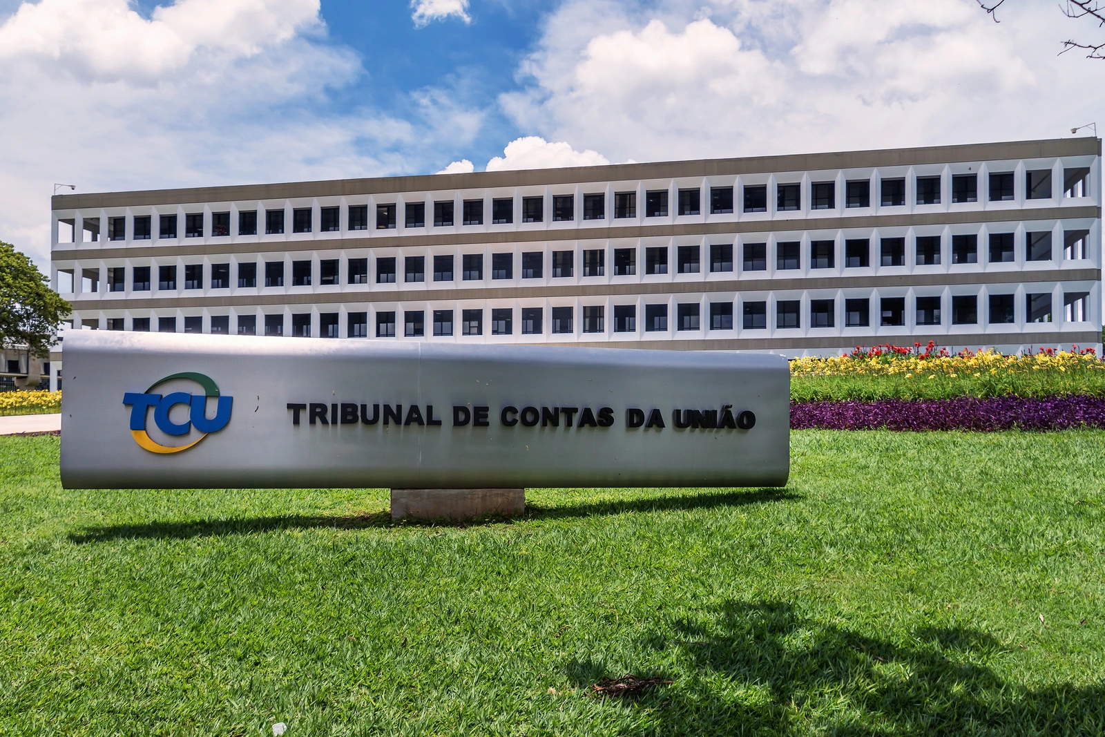 Concurso TCU 2026 libera resultado provisório das cotas e prazo para recursos