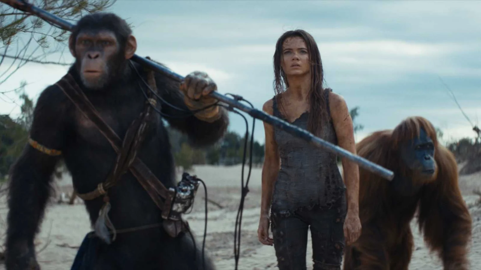 Novo filme de Planeta dos Macacos será dirigido por nome do MCU e terá história inédita