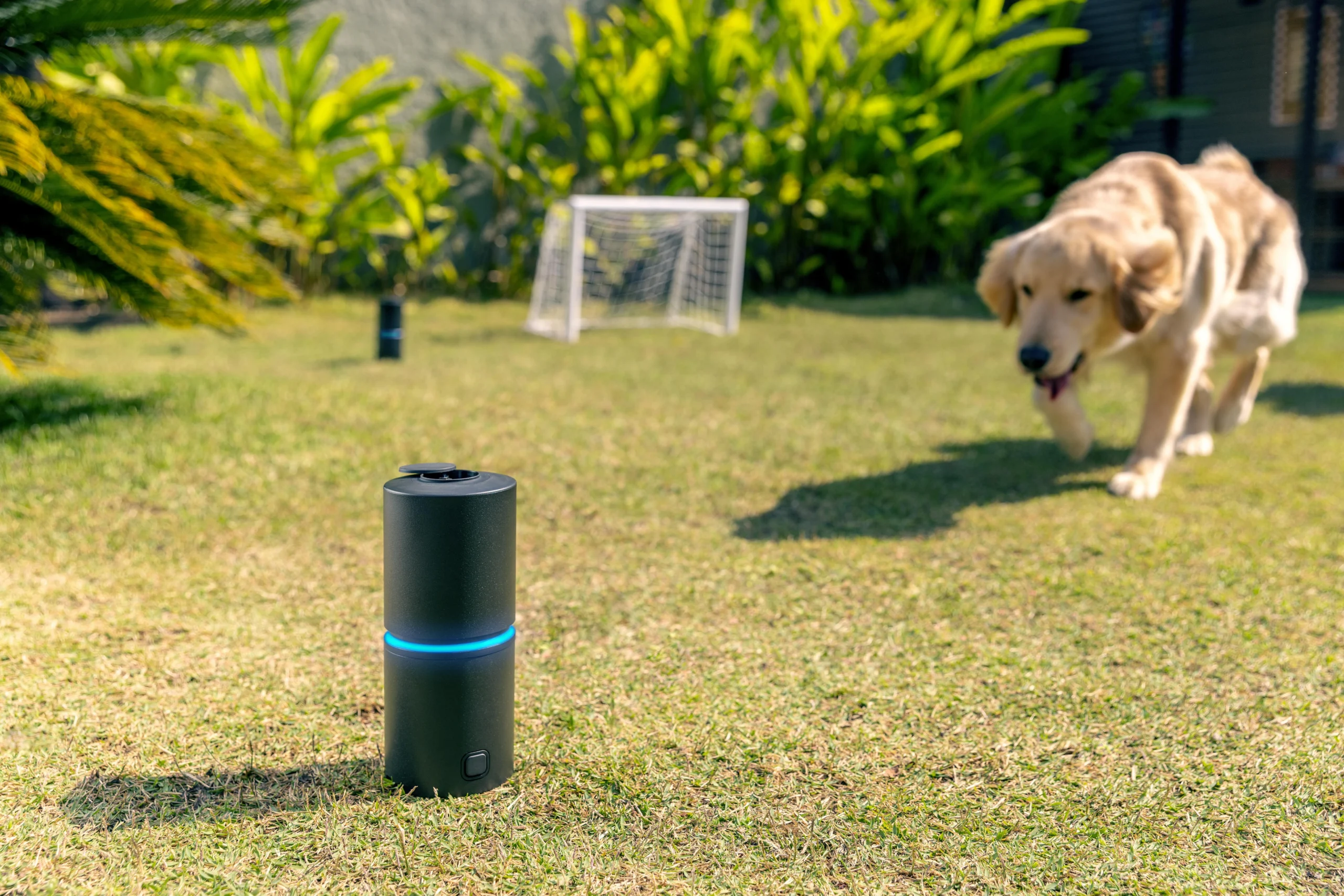 Thermacell lança Liv 2.0, sistema inteligente contra mosquitos maior e mais caro