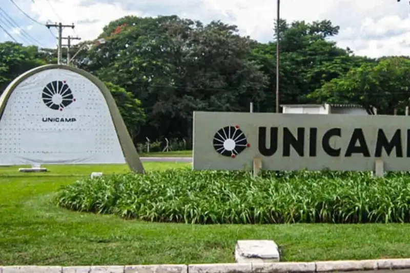 Fuvest, Unicamp e Unesp: materiais gratuitos ajudam estudantes a focar nos temas mais frequentes dos vestibulares