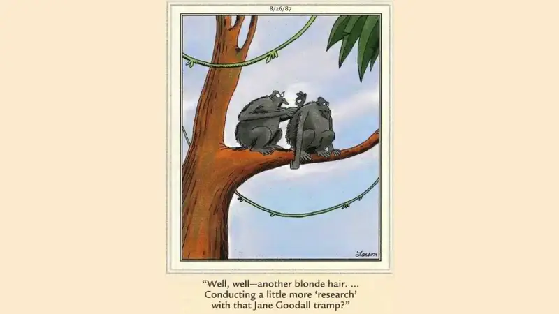 Como uma Charge de Gary Larson Quase Gerou Problemas Legais com Jane Goodall Há 38 Anos