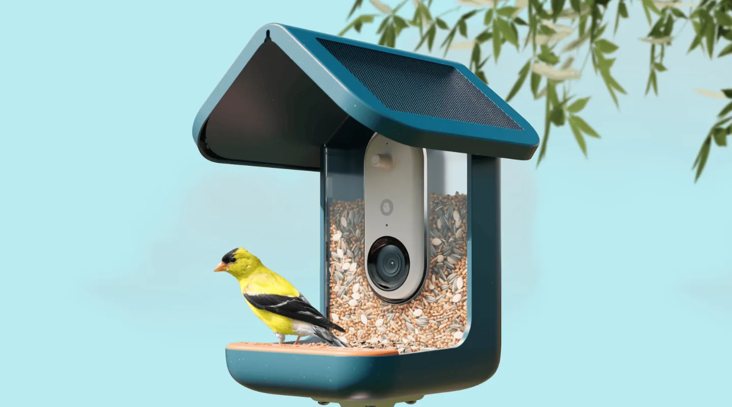 BirdBuddy Pro com painéis solares é o sucesso inesperado do Prime Day 2026