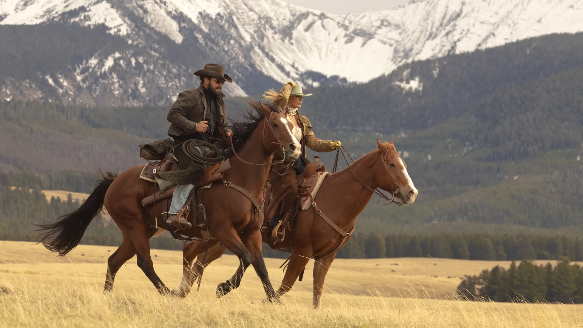 Série de Nic Cage supera projeto de Taylor Sheridan em streaming, diz relatório de audiência