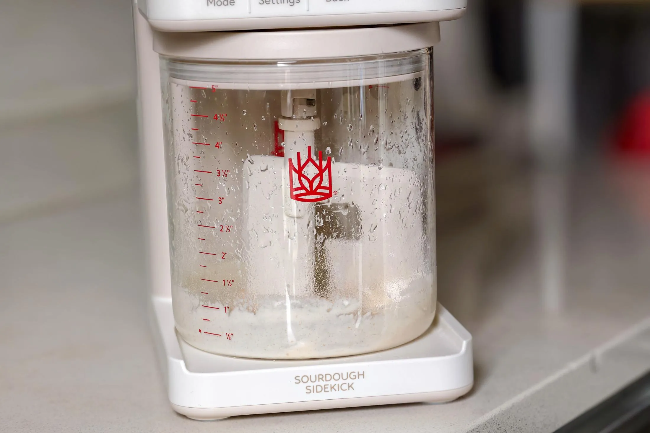 Sourdough Sidekick promete automatizar cuidados com fermento natural para pães