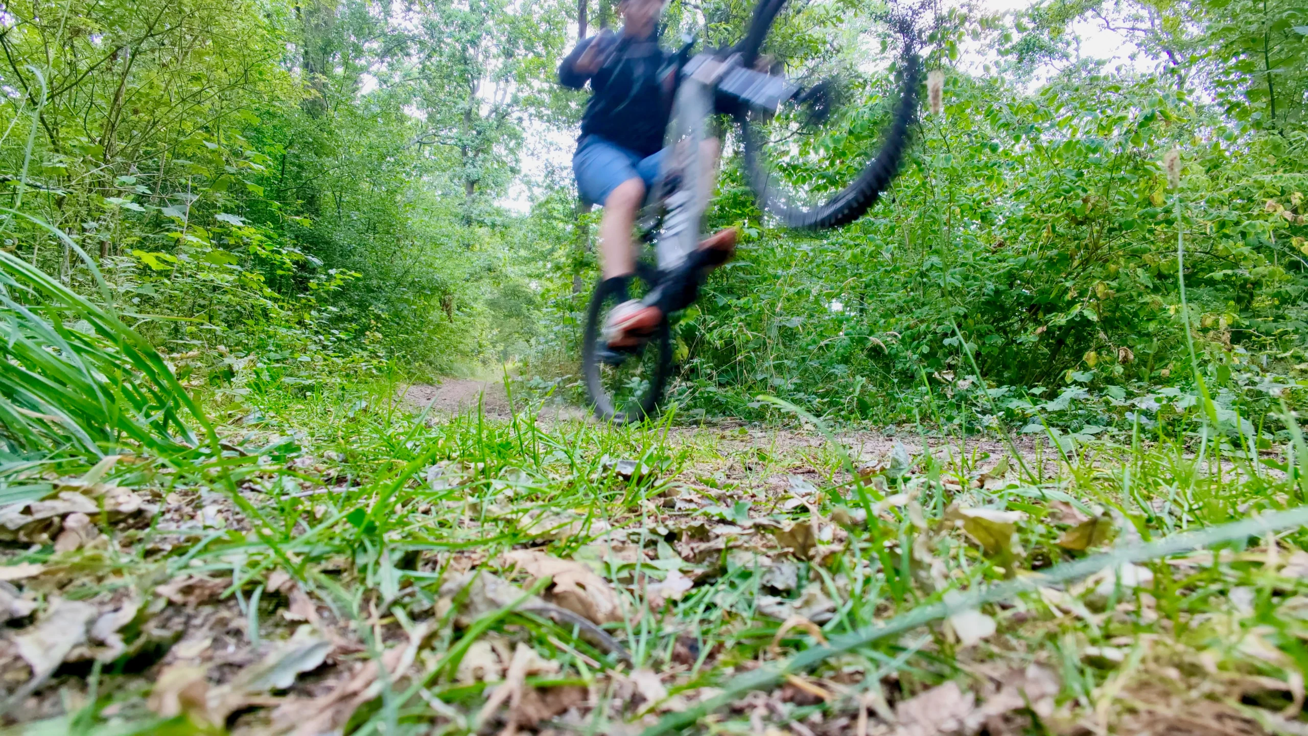 Bicicletas elétricas de montanha são diversão garantida, mesmo para iniciantes