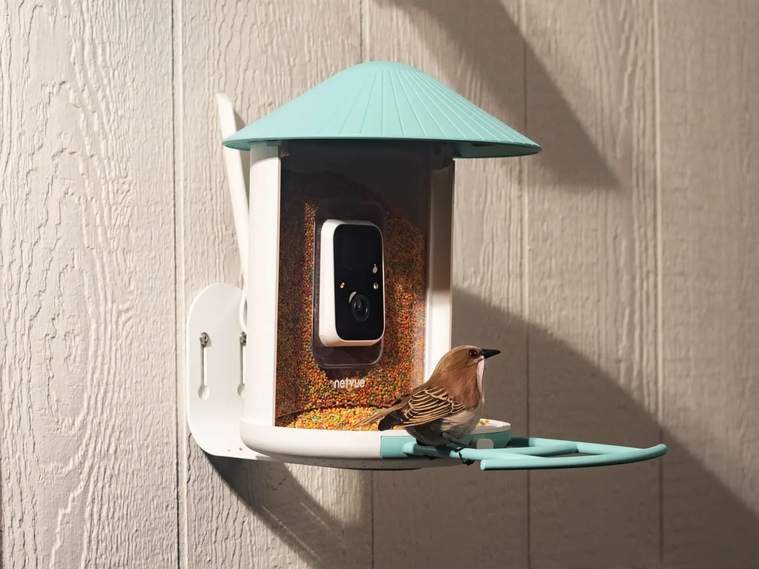 Alimentador inteligente Birdfy com painel solar tem desconto de até 40% em promoção especial