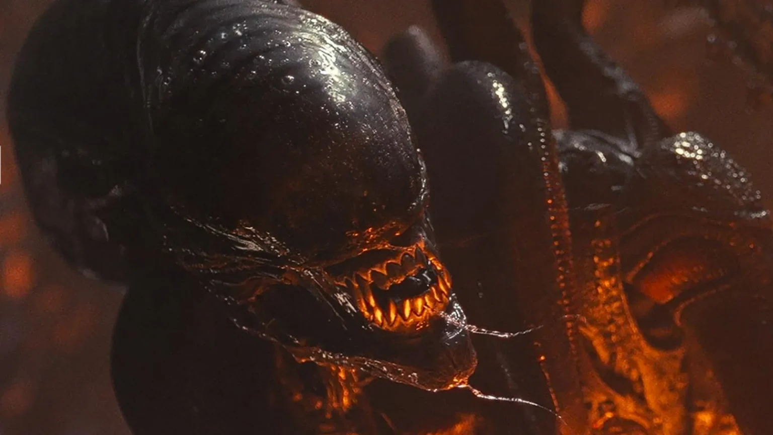 20th Century Studios desmente boatos sobre cancelamento da sequência de Alien: Romulus