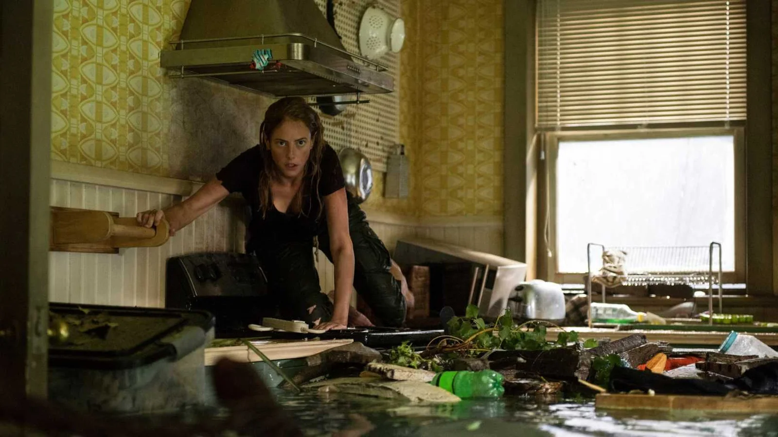 Paramount confirma sequência do thriller de sobrevivência “Crawl” com novo elenco e mudança de cenário