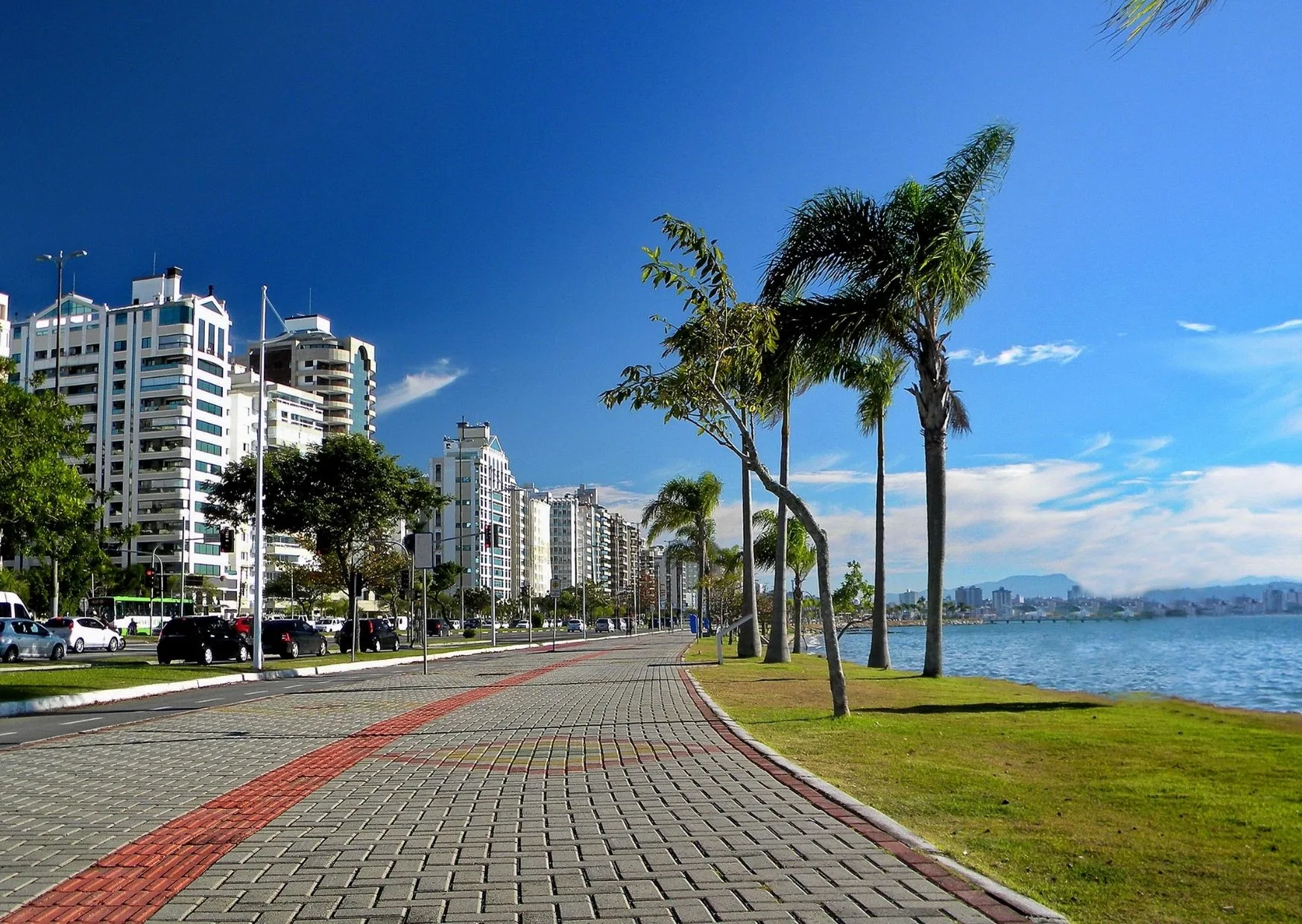 Instituto Quadrix será responsável pelo novo concurso do CAU SC com vagas para níveis médio e superior