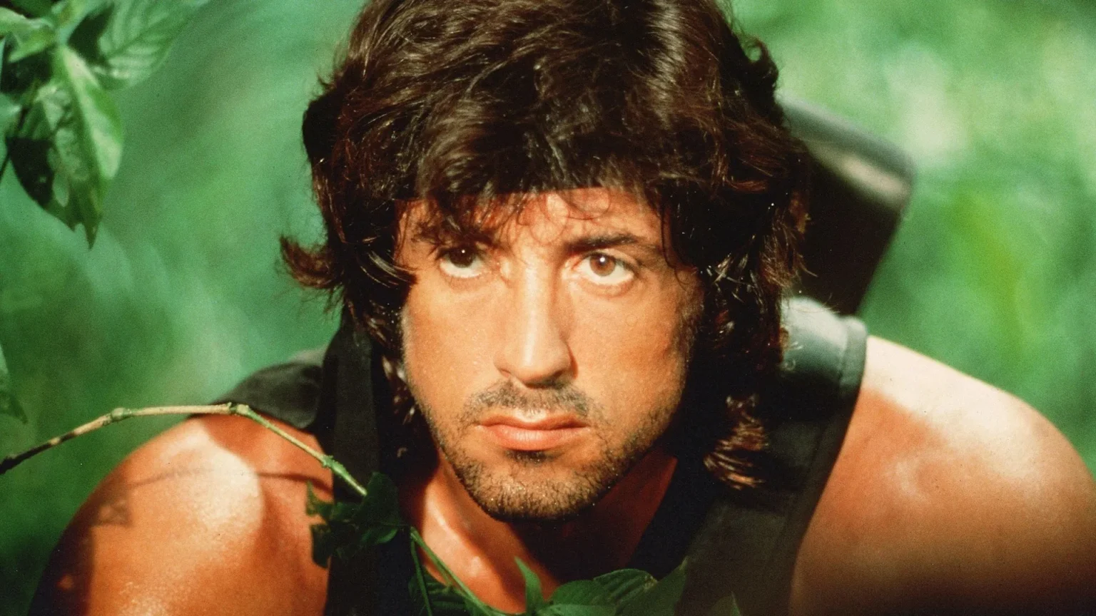 Noah Centineo assume papel de jovem Rambo e confirma envolvimento de Sylvester Stallone no novo filme