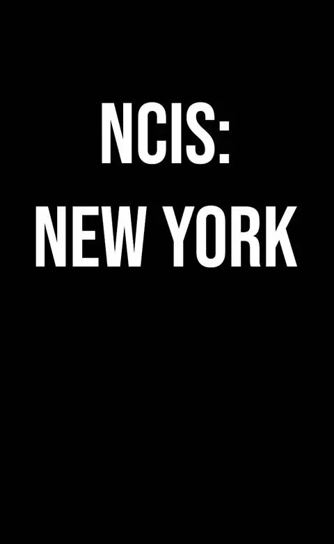 NCIS: New York traz de volta LL Cool J e Scott Caan em nova série da franquia