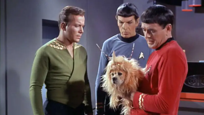As 10 melhores episódios de Star Trek: A Série Original que marcam gerações