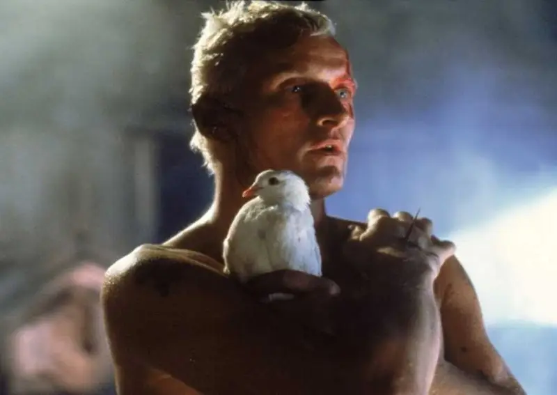 44 anos depois, frase icônica de Blade Runner segue sendo um marco da ficção científica