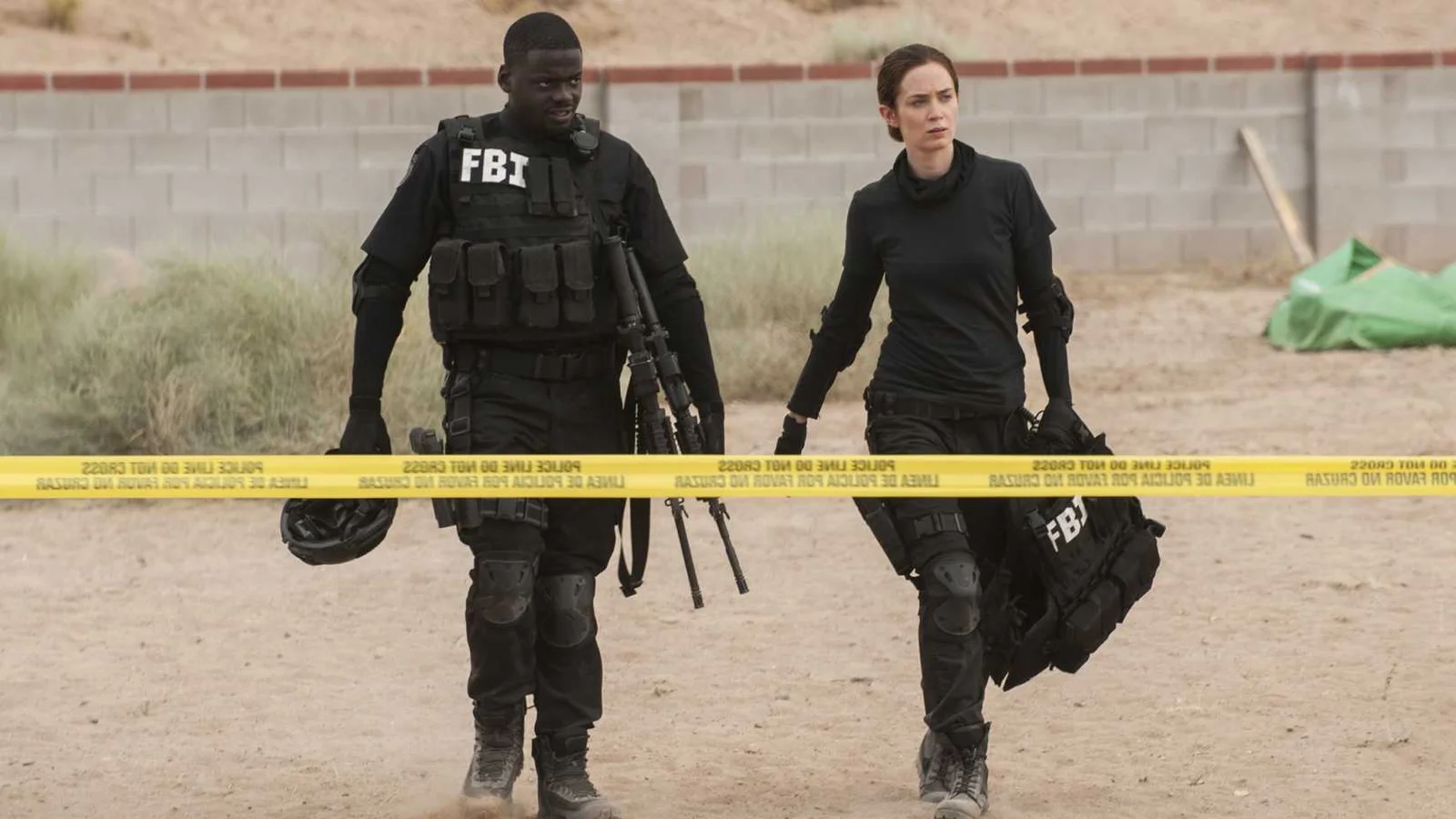 Sicario, de Taylor Sheridan, é considerado superior a Yellowstone e seus spin-offs