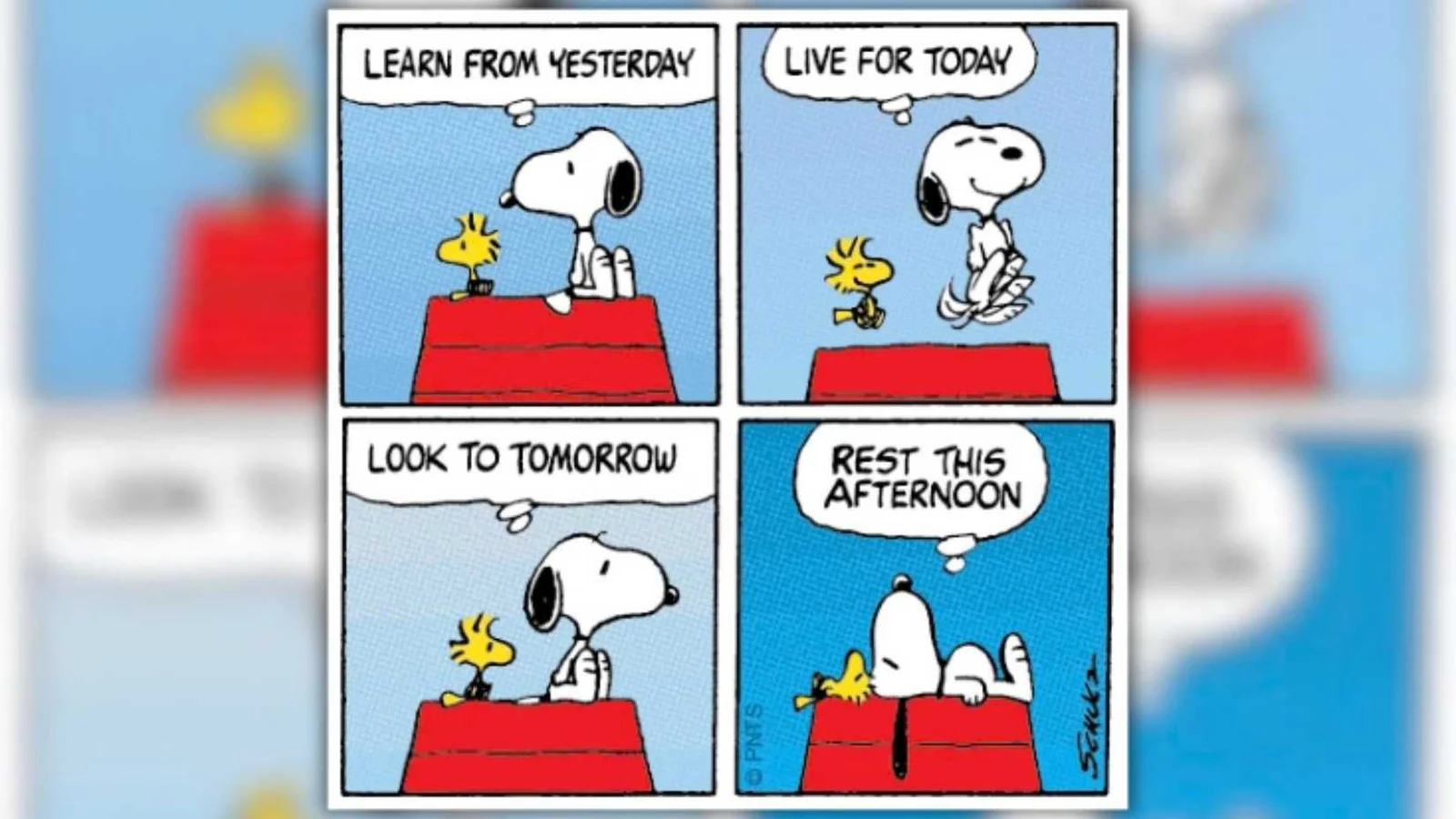 Em 12 palavras, Snoopy entrega o maior conselho da história das tirinhas