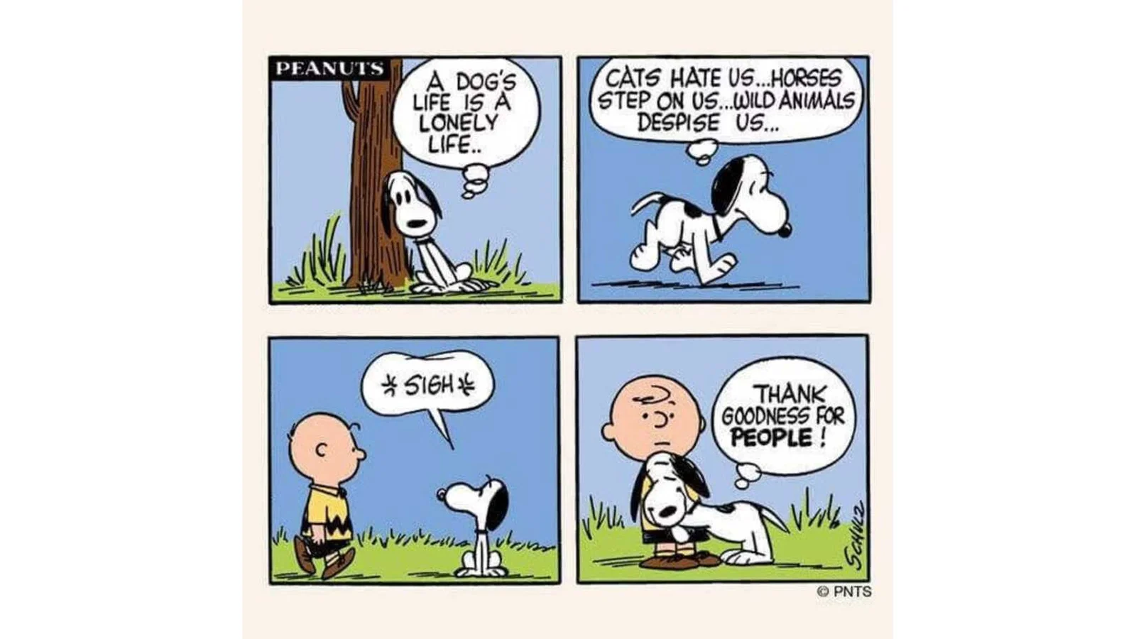 As 10 frases mais marcantes do Snoopy que marcaram a história de Peanuts