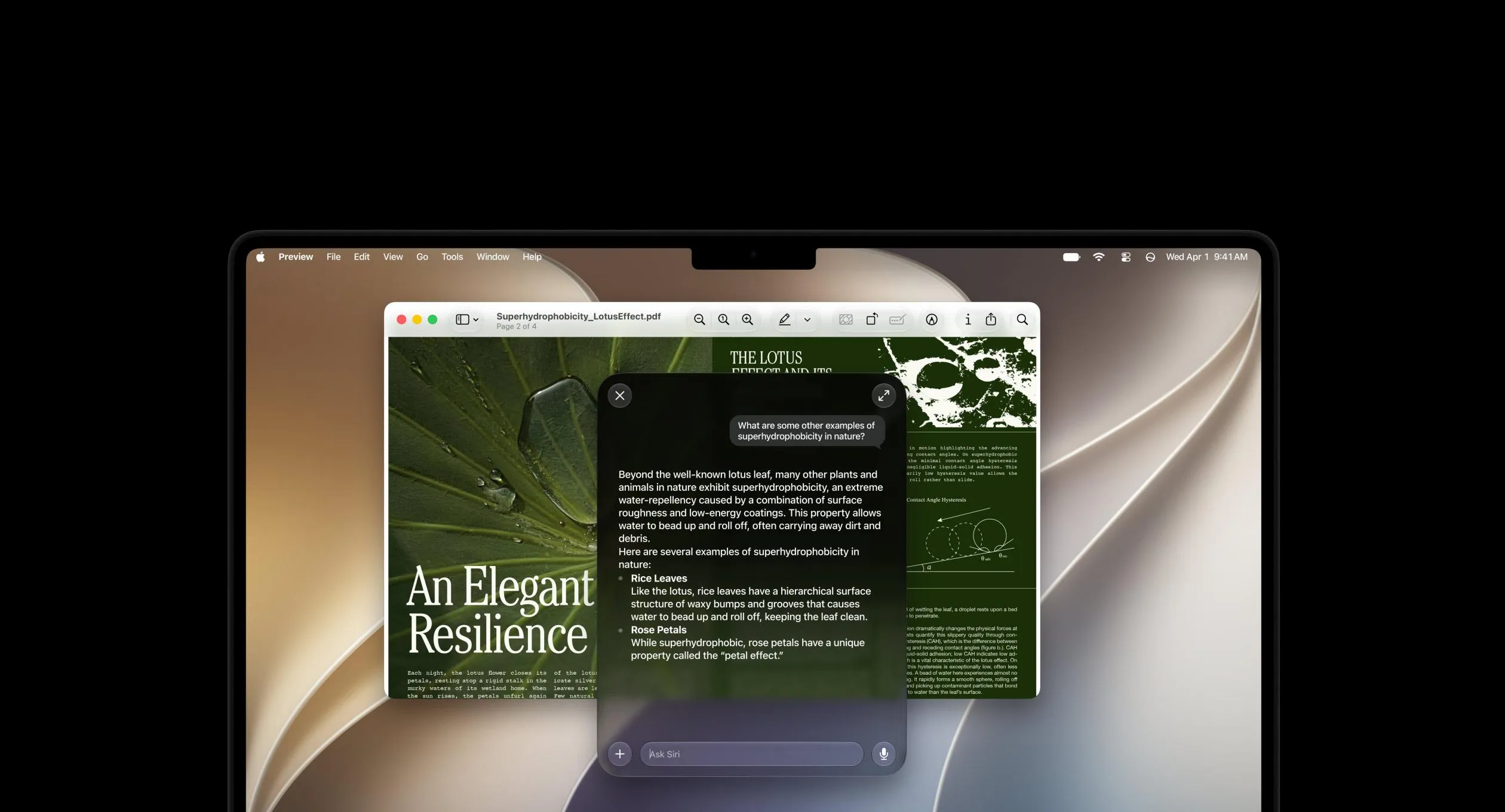 Ferramenta open-source permite apagar 12GB de dados de inteligência artificial da Apple no macOS