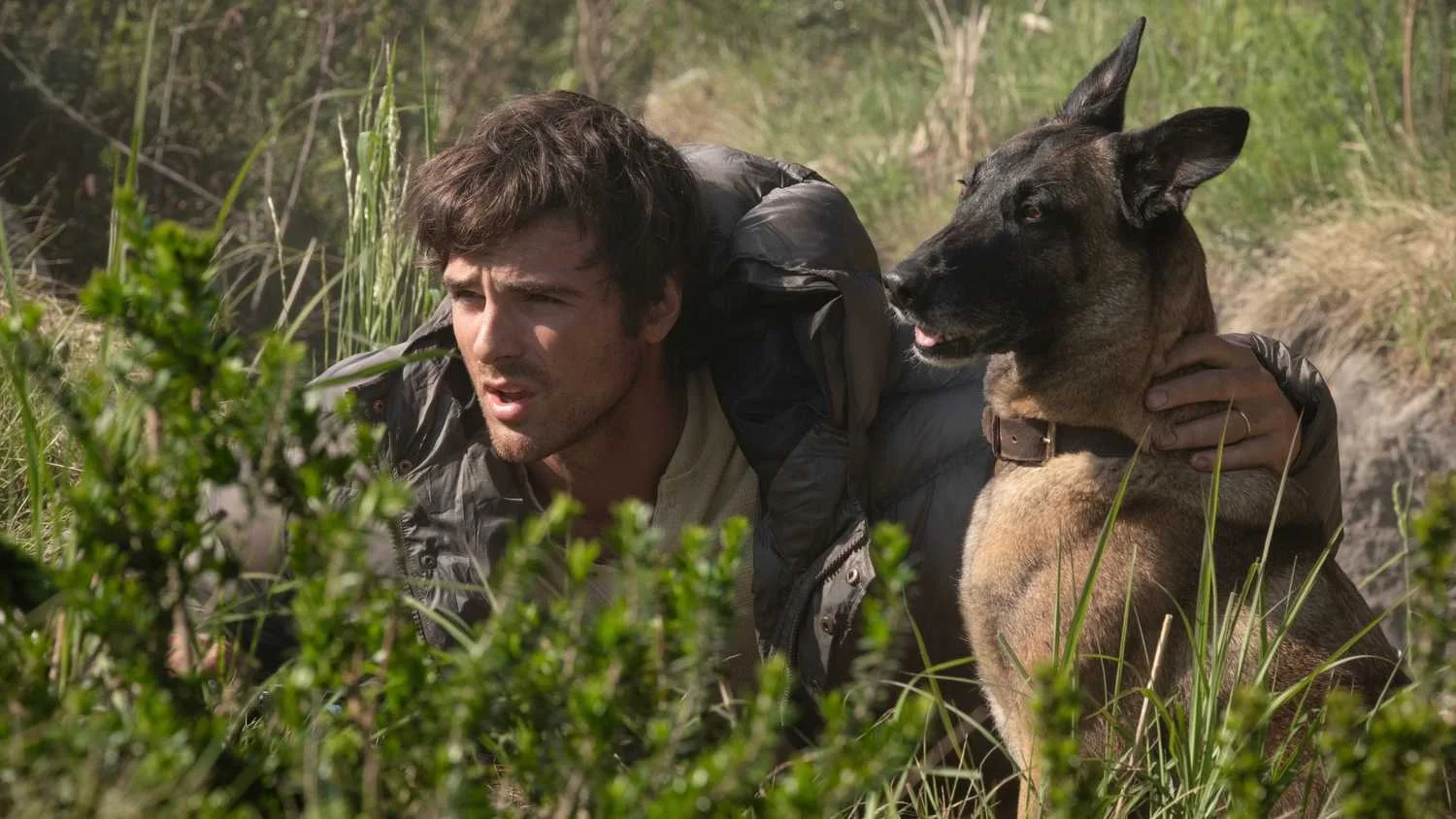 Ridley Scott sofre grande fracasso de bilheteria com filme pós-apocalíptico “The Dog Stars”