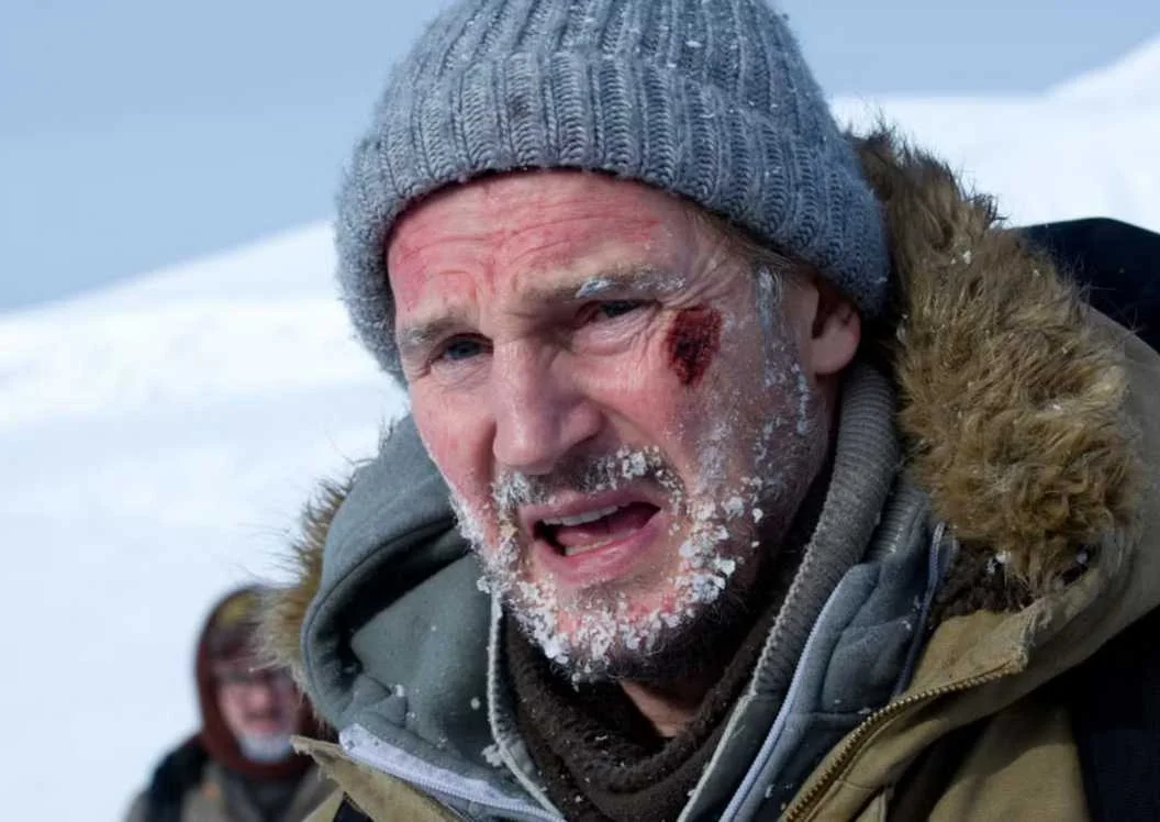 Filme de ação “The Grey”, com Liam Neeson, será removido da Netflix em novembro