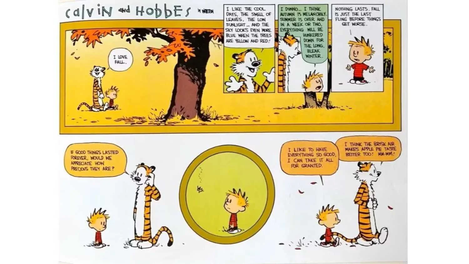 Citação de Hobbes em Calvin and Hobbes completa 31 anos e segue inspirando fãs