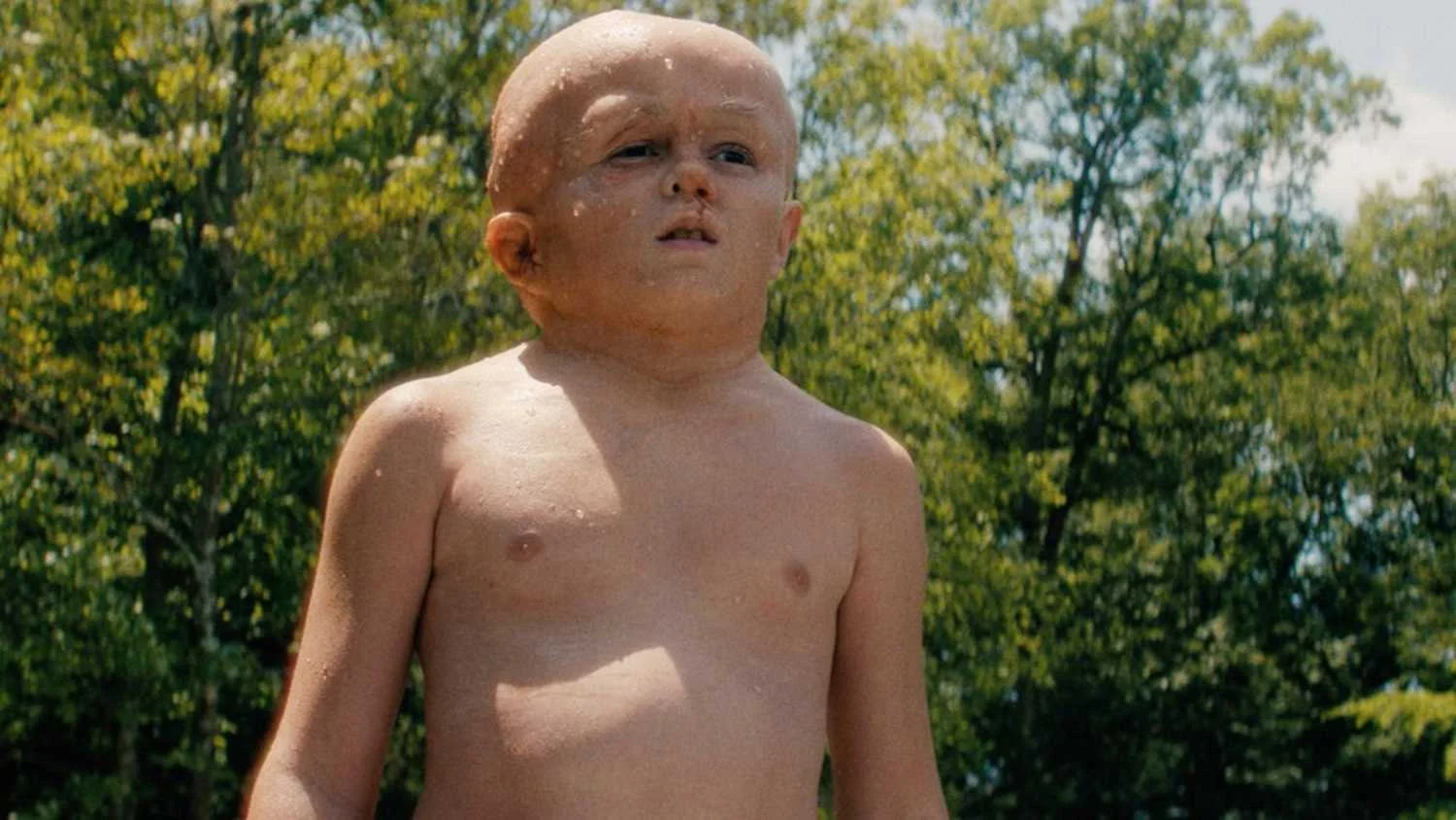 Série Crystal Lake resolve mistério de 50 anos sobre Jason Voorhees em Sexta-Feira 13